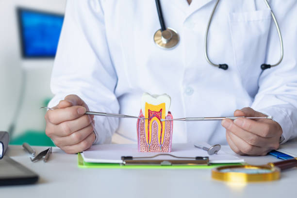 Best Weekend Emergency Dentist in Bartlett, TX